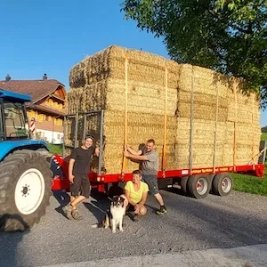 Müller Profi Allzweckplattformanhänger